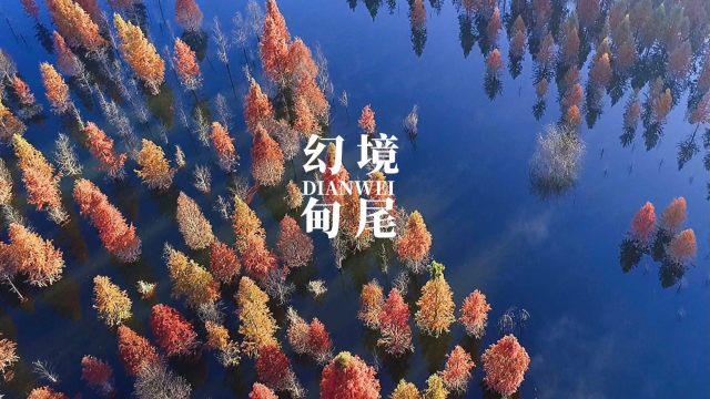 沈阳公安:冬日雪暖阳 迎春保平安