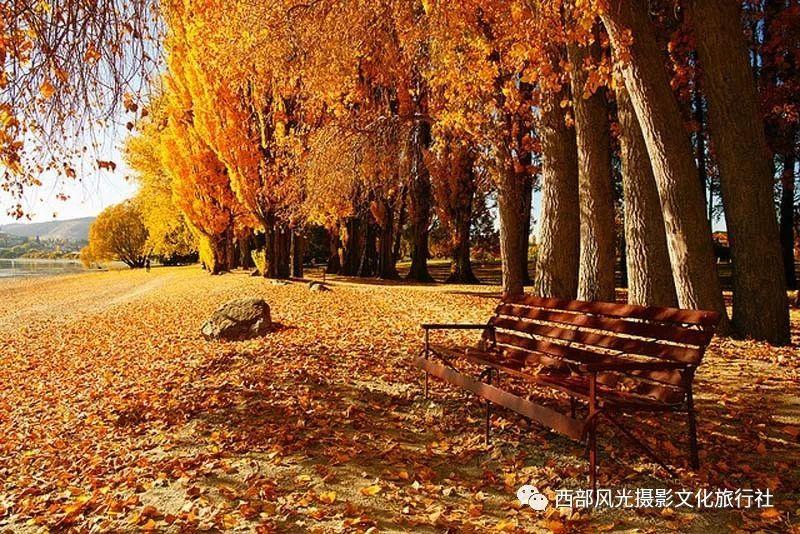 地下车库滴水 业主车变“花脸”
