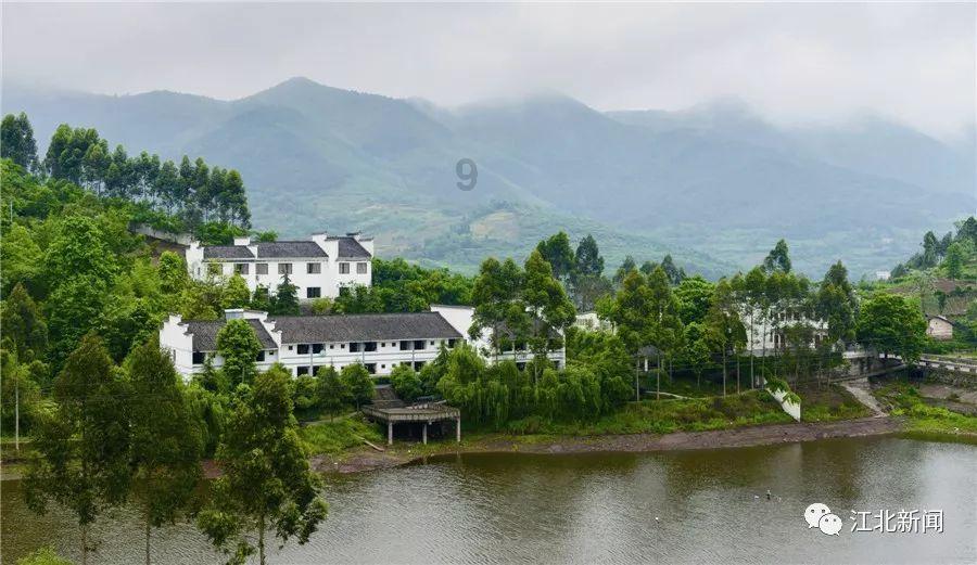 粉丝追星到底看不看人品的呢?- 专业问答网站,解答你的疑问