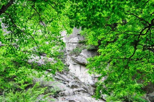 讲好山东故事,助推文旅发展