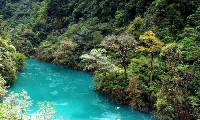 逃离森林湖畔