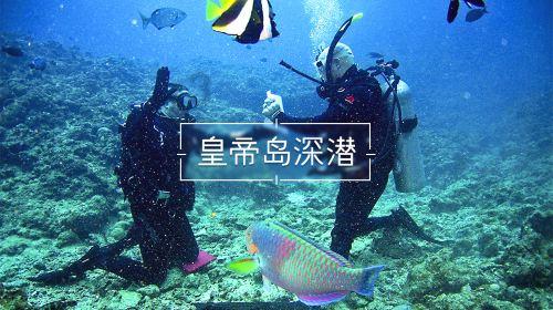 小犀牛救援