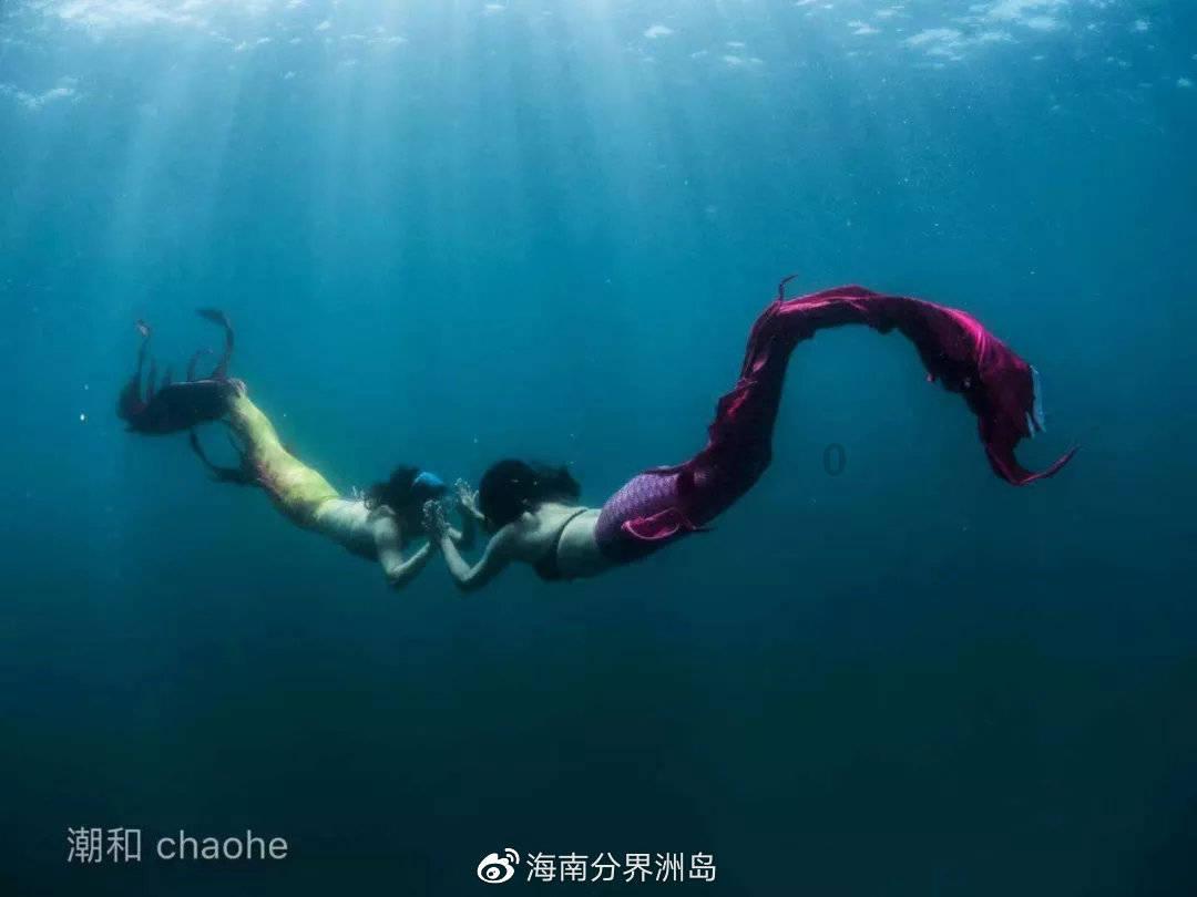 幻想森林逃生